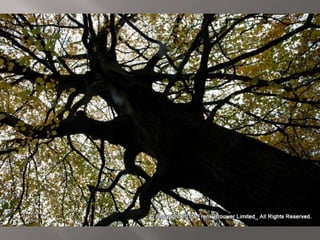 Atmospheric pictures  & Stills 