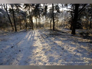 Atmospheric pictures  & Stills 