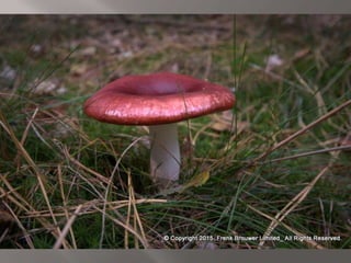 Atmospheric pictures  & Stills 