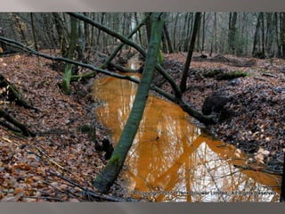 Atmospheric pictures  & Stills 