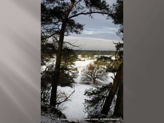 Atmospheric pictures  & Stills 