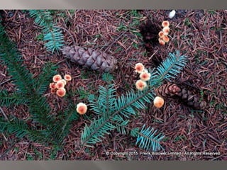 Atmospheric pictures  & Stills 