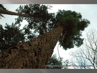 Atmospheric pictures  & Stills 