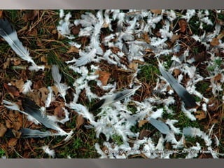 Atmospheric pictures  & Stills 