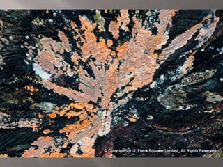 Atmospheric pictures  & Stills 