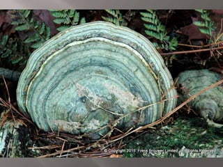 Atmospheric pictures  & Stills 