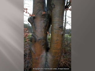 Atmospheric pictures  & Stills 