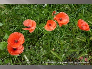 Atmospheric pictures  & Stills 