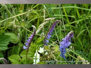 Atmospheric pictures  & Stills 