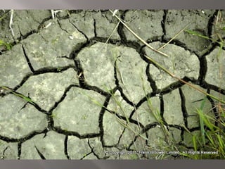 Atmospheric pictures  & Stills 