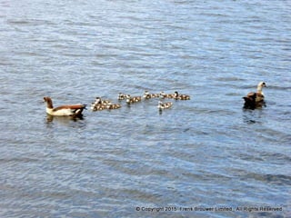 Atmospheric pictures  & Stills 