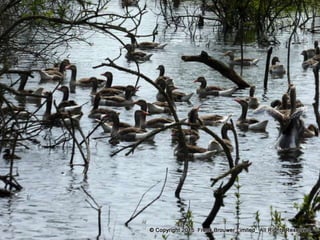 Atmospheric pictures  & Stills 