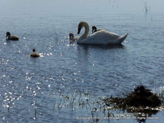 Atmospheric pictures  & Stills 