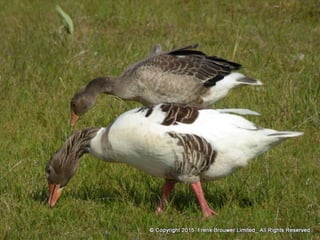 Atmospheric pictures  & Stills 