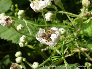 Atmospheric pictures  & Stills 