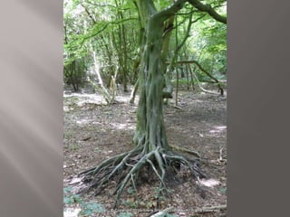 Atmospheric pictures  & Stills 