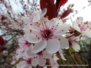 Atmospheric pictures  & Stills 