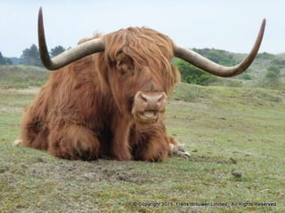 Atmospheric pictures  & Stills 