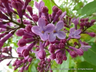 Atmospheric pictures  & Stills 