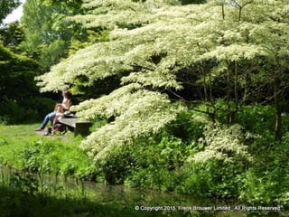 Atmospheric pictures  & Stills 