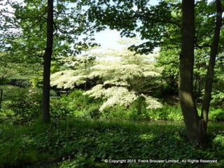 Atmospheric pictures  & Stills 