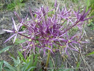 Atmospheric pictures  & Stills 