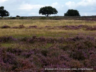 Atmospheric pictures  & Stills 