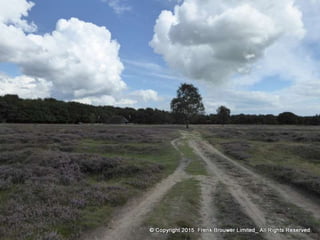 Atmospheric pictures  & Stills 