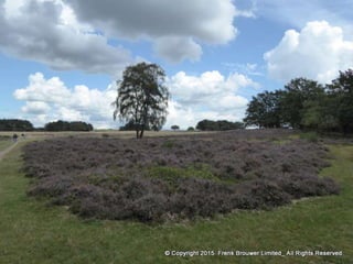 Atmospheric pictures  & Stills 