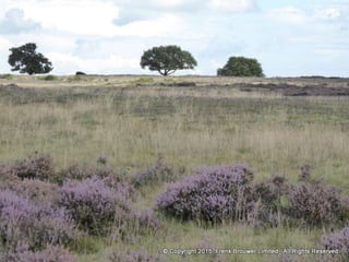 Atmospheric pictures  & Stills 