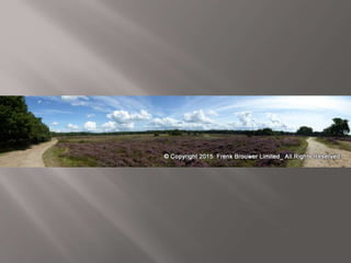 Atmospheric pictures  & Stills 