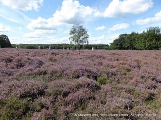 Atmospheric pictures  & Stills 