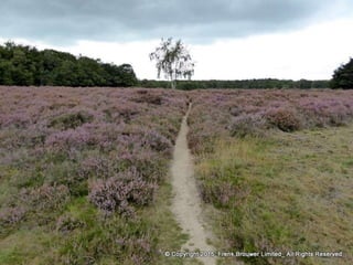 Atmospheric pictures  & Stills 