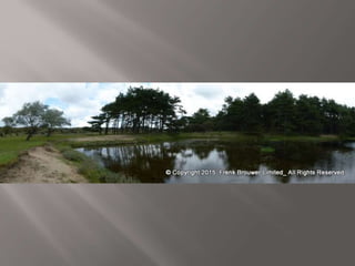 Atmospheric pictures  & Stills 