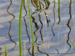 Atmospheric pictures  & Stills 