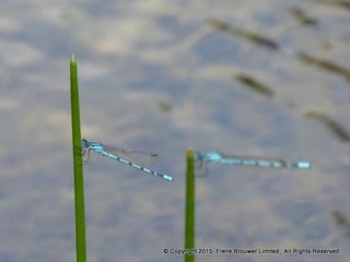 Atmospheric pictures  & Stills 