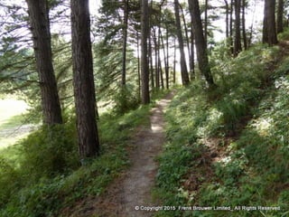 Atmospheric pictures  & Stills 