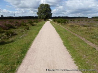 Atmospheric pictures  & Stills 