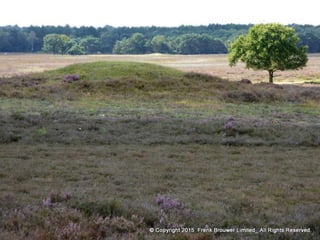 Atmospheric pictures  & Stills 