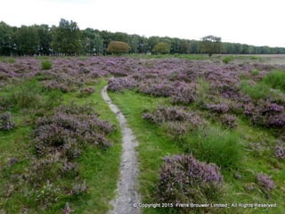 Atmospheric pictures  & Stills 