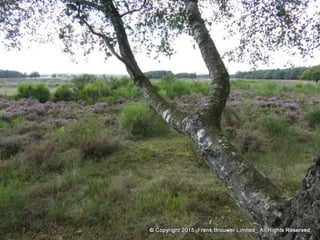 Atmospheric pictures  & Stills 