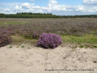 Atmospheric pictures  & Stills 