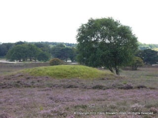 Atmospheric pictures  & Stills 