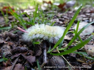 Atmospheric pictures  & Stills 