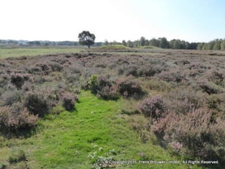 Atmospheric pictures  & Stills 