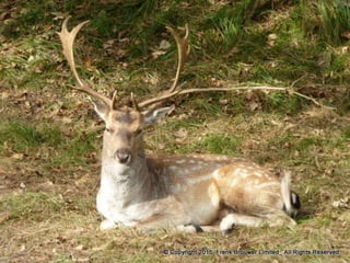 Atmospheric pictures  & Stills 