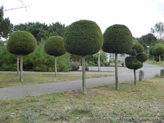 Atmospheric pictures  & Stills 