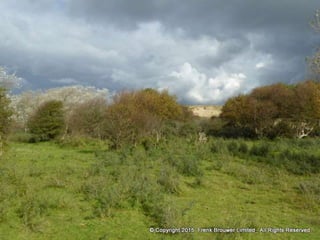 Atmospheric pictures  & Stills 