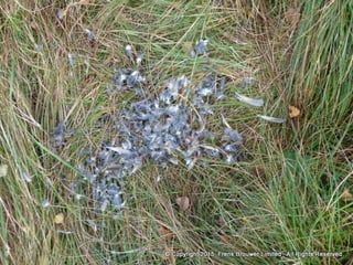 Atmospheric pictures  & Stills 