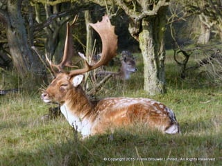 Atmospheric pictures  & Stills 